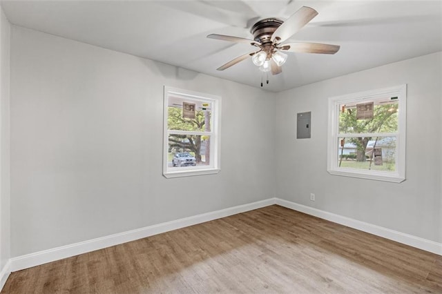 empty room featuring ceiling fan and light wood-type flooring