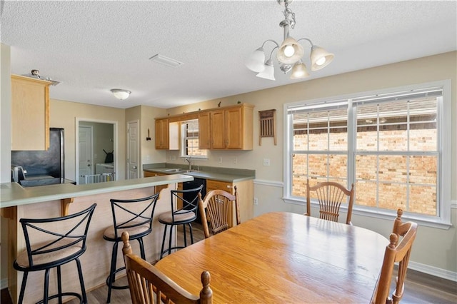 dining room with sink, hardwood / wood-style floors, a textured ceiling, and a healthy amount of sunlight