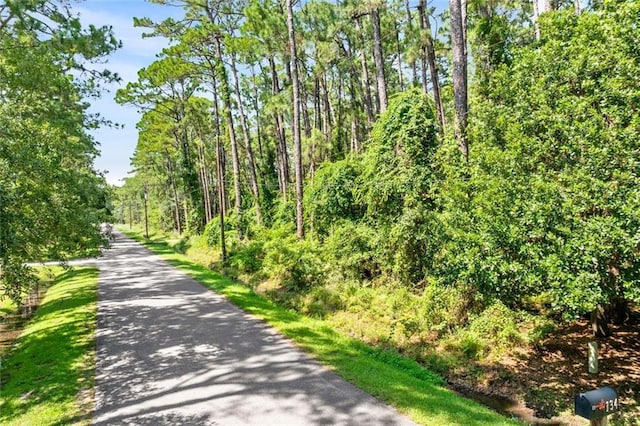 136 Mississippi St, Dauphin Island, AL 36528
