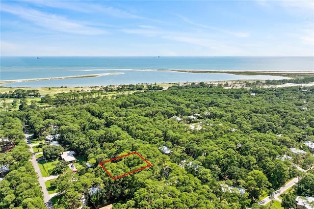 136 Mississippi St, Dauphin Island, AL 36528