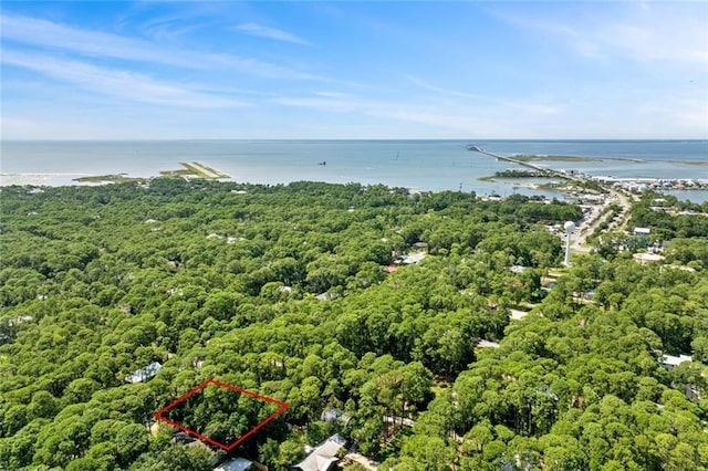 136 Mississippi St, Dauphin Island, AL 36528