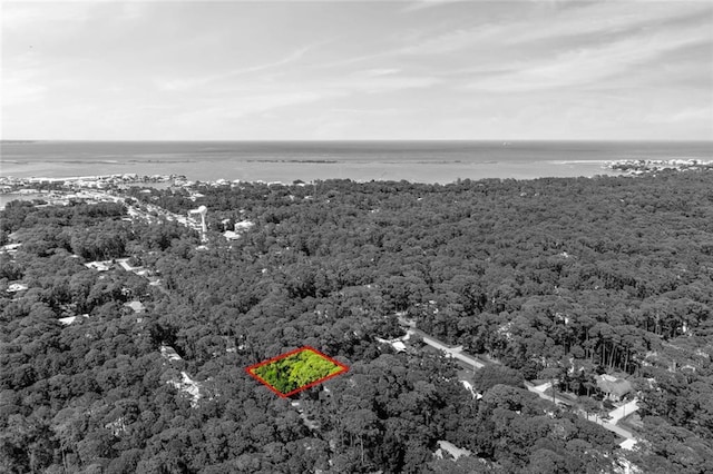 136 Mississippi St, Dauphin Island, AL 36528