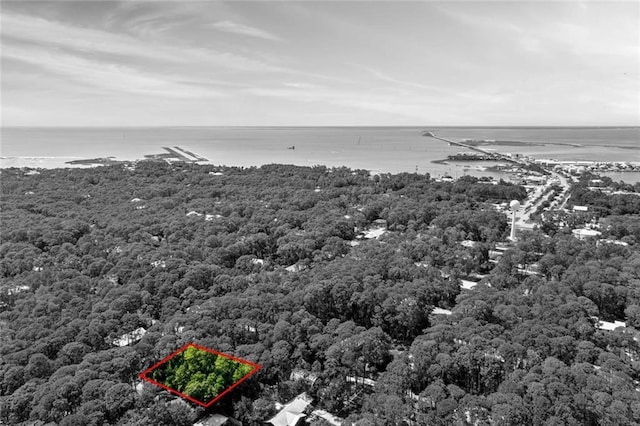 136 Mississippi St, Dauphin Island, AL 36528