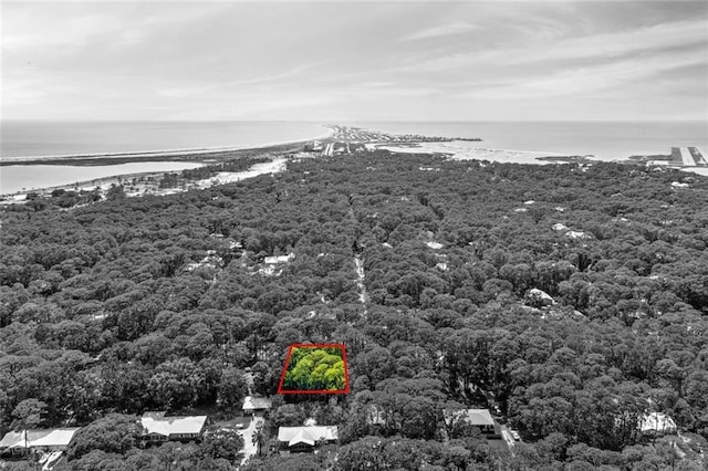 136 Mississippi St, Dauphin Island, AL 36528