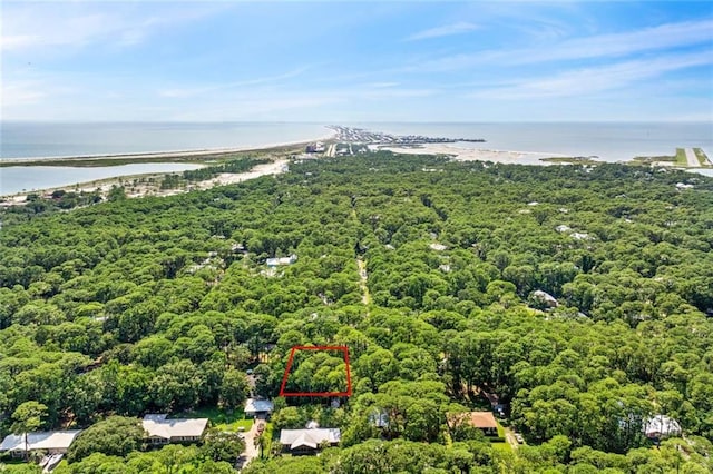 136 Mississippi St, Dauphin Island, AL 36528