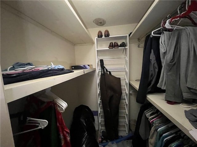 5470 Robert Jefferson Dr E, Theodore, AL 36582 - view of walk in closet