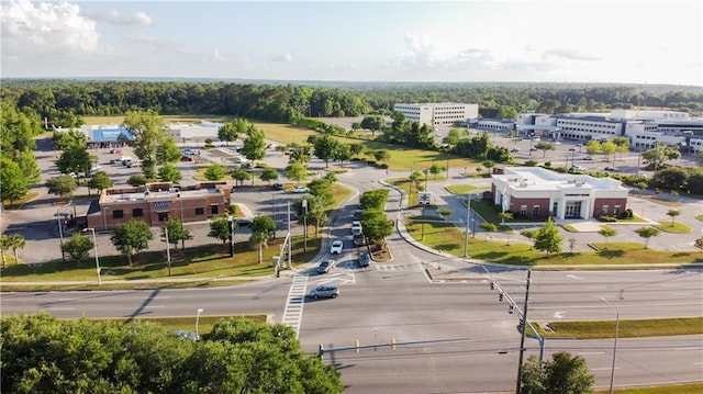 drone / aerial view
