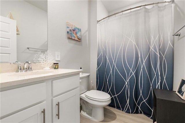 bathroom featuring vanity, wood-type flooring, and toilet