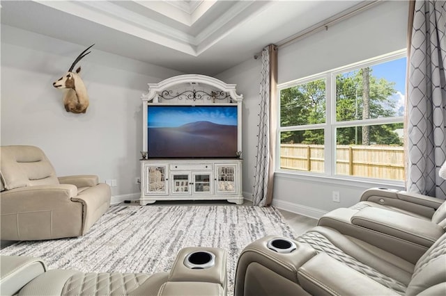 living room with crown molding and a tray ceiling