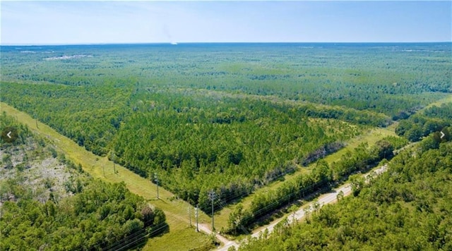 0 Bellingrath Rd, Theodore AL, 36582 land for sale