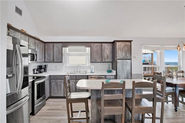 kitchen with visible vents, a sink, appliances with stainless steel finishes, lofted ceiling, and dark brown cabinets