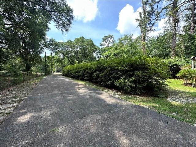 334 Avondale Ave, Satsuma, AL 36572 - view of road