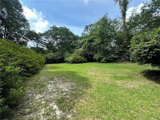 334 Avondale Ave, Satsuma, AL 36572 - view of grassy yard