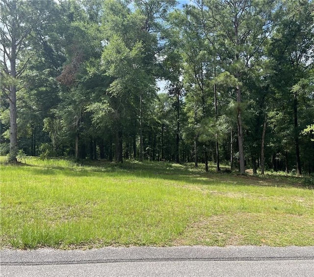 0 Ching Dairy Loop Rd S, Mobile AL, 36618 land for sale