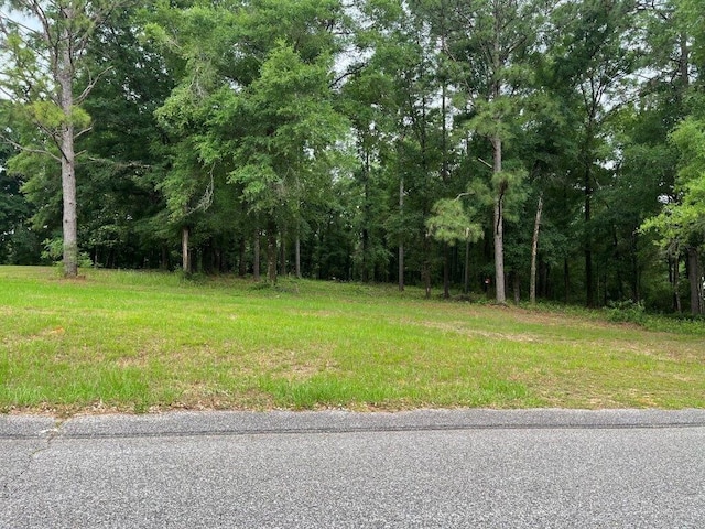 Listing photo 2 for 0 Ching Dairy Loop Rd S, Mobile AL 36618