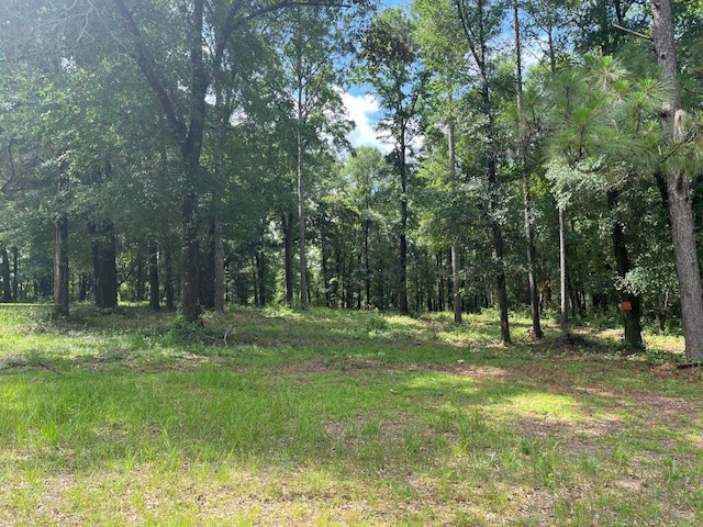 Listing photo 3 for 0 Ching Dairy Loop Rd S, Mobile AL 36618