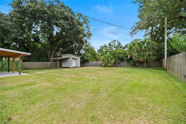 view of yard featuring a patio area and a storage unit