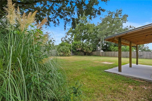 view of yard featuring a patio