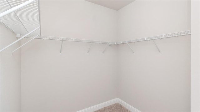 10676 Relic Rd N, Mobile, AL 36608 - walk in closet with carpet flooring