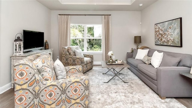 10676 Relic Rd N, Mobile, AL 36608 - living room featuring wood finished floors, a tray ceiling, and baseboards