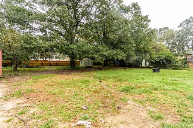 view of yard featuring a storage shed