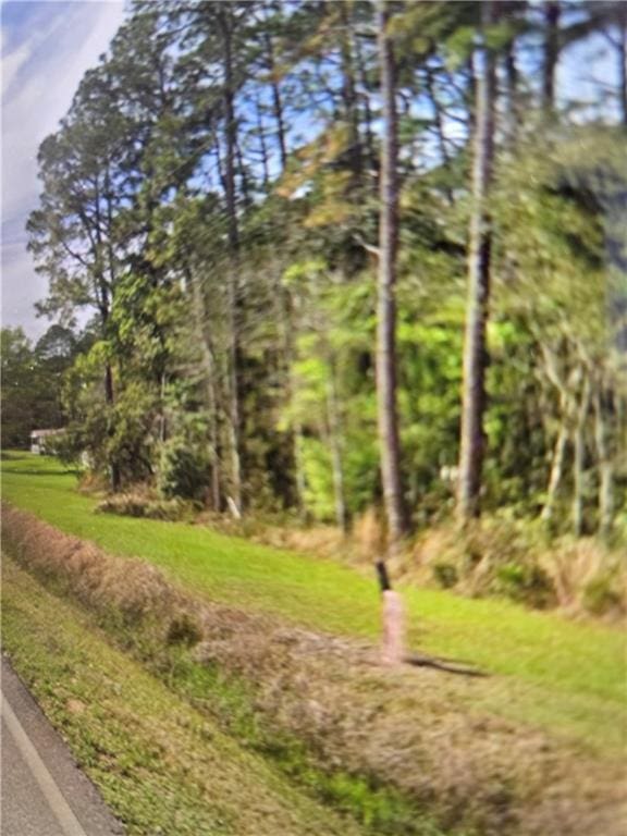 13200 Old Pascagoula Rd, Grand Bay AL, 36541 land for sale