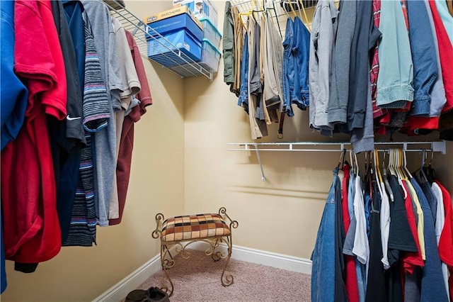 spacious closet with carpet floors