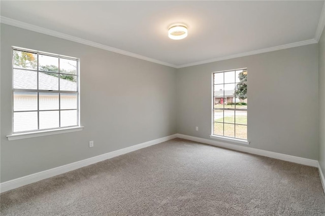 carpeted spare room with crown molding