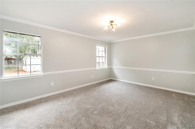 carpeted empty room featuring an inviting chandelier and ornamental molding