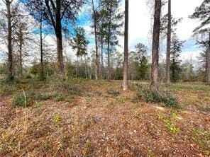 4604 Cypress Park Dr, Mobile, AL 36619