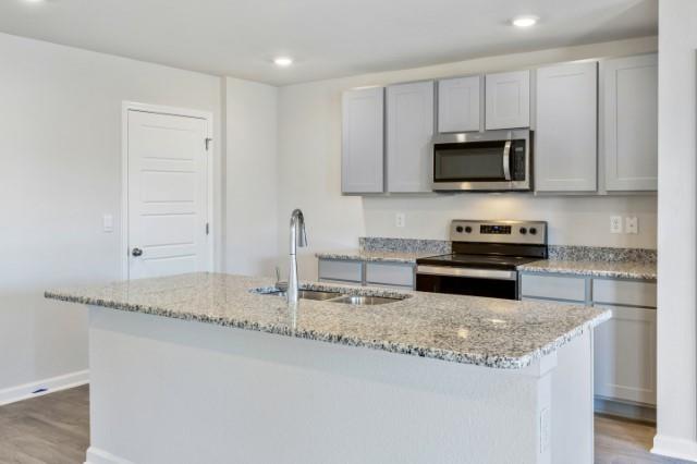 kitchen featuring stainless steel appliances, light stone countertops, sink, and a center island with sink