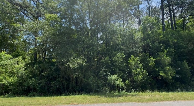 0 Thomas Rd, Theodore, AL 36582