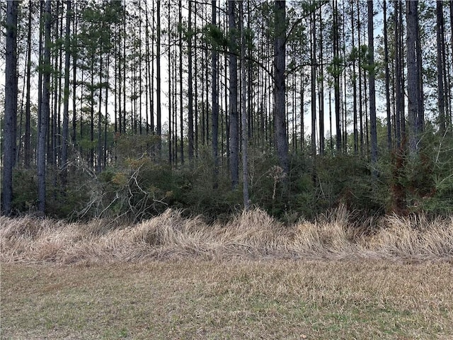 Listing photo 3 for 0 Turnerville Farms Dr, Chunchula AL 36521