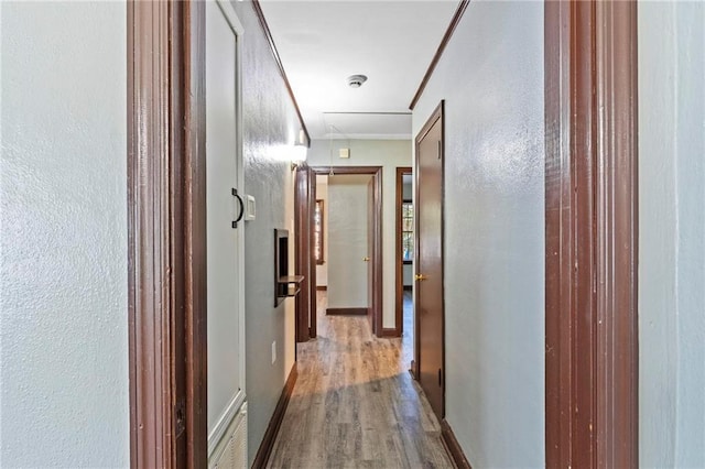 hall featuring crown molding and hardwood / wood-style flooring