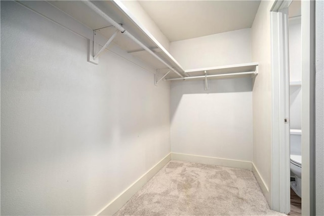 3655 Old Shell Rd Unit 121, Mobile, AL 36608 - spacious closet with carpet flooring