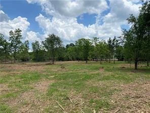 0 Newman Rd, Mobile, AL 36695