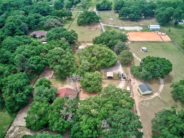 bird's eye view
