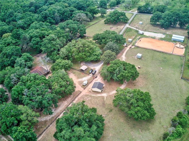 drone / aerial view
