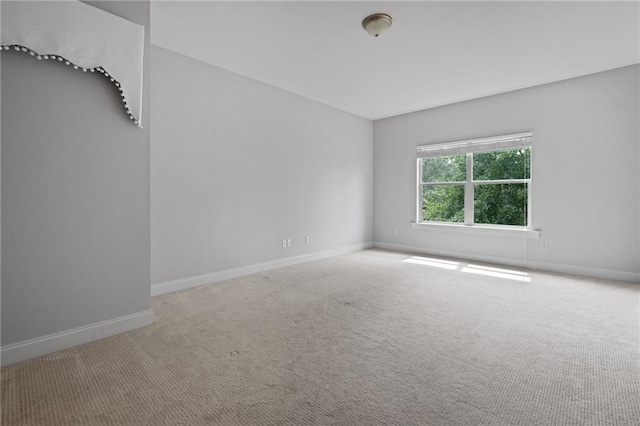 spare room with carpet floors