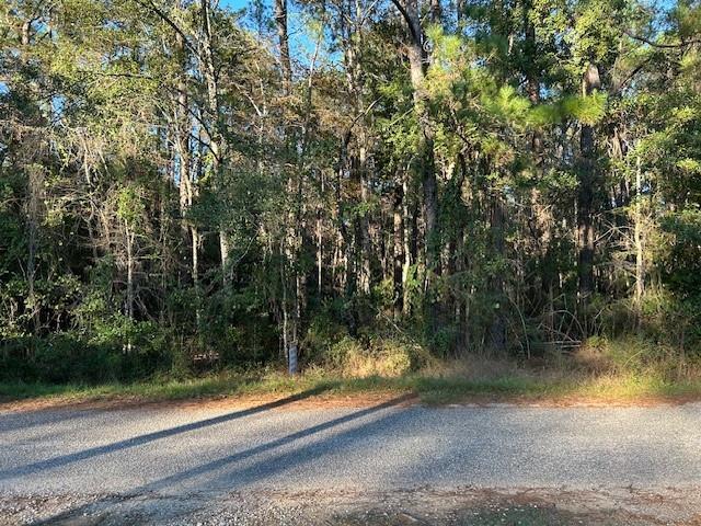 0 Bayou Dr, Bayou La Batre AL, 36509 land for sale