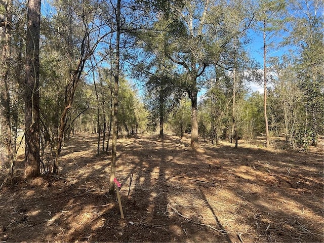 Listing photo 2 for 0 Newman Rd, Mobile AL 36695