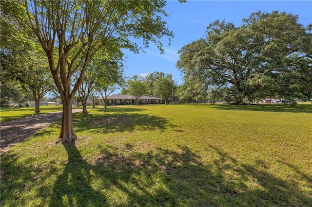 720 Grand Bay-Wilmer Rd N, Mobile, AL 36608 - view of grassy yard