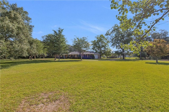 720 Grand Bay-Wilmer Rd N, Mobile, AL 36608 - view of green lawn