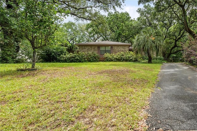 view of yard featuring driveway