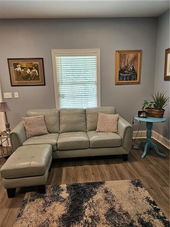 living room with baseboards and wood finished floors