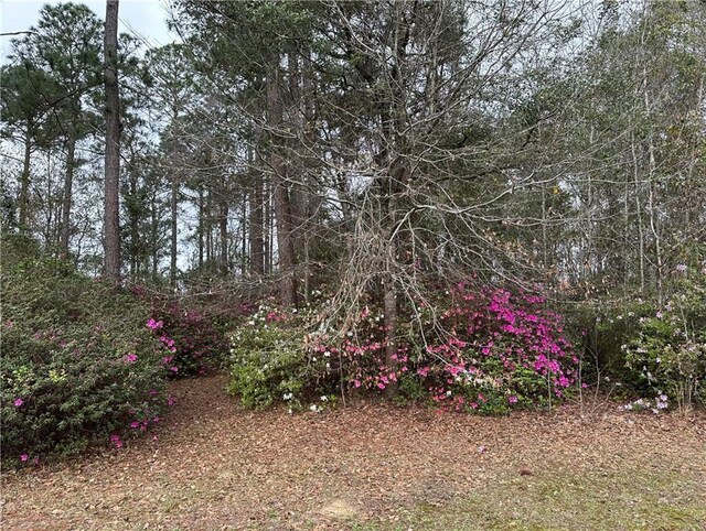 0 Abilene Dr W, Mobile, AL 36695