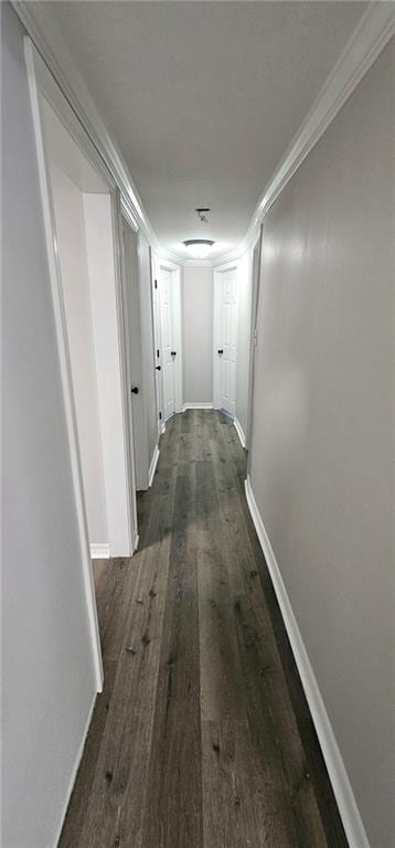 corridor with dark wood-type flooring and ornamental molding