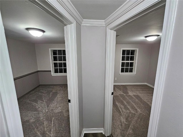 spacious closet featuring dark colored carpet