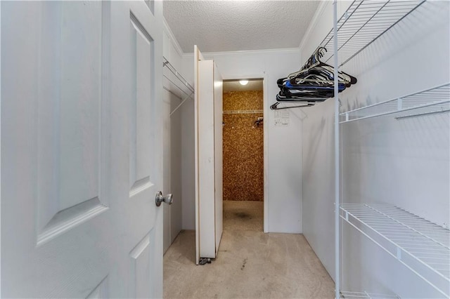 walk in closet featuring light colored carpet