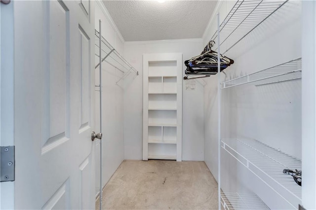 walk in closet featuring light colored carpet